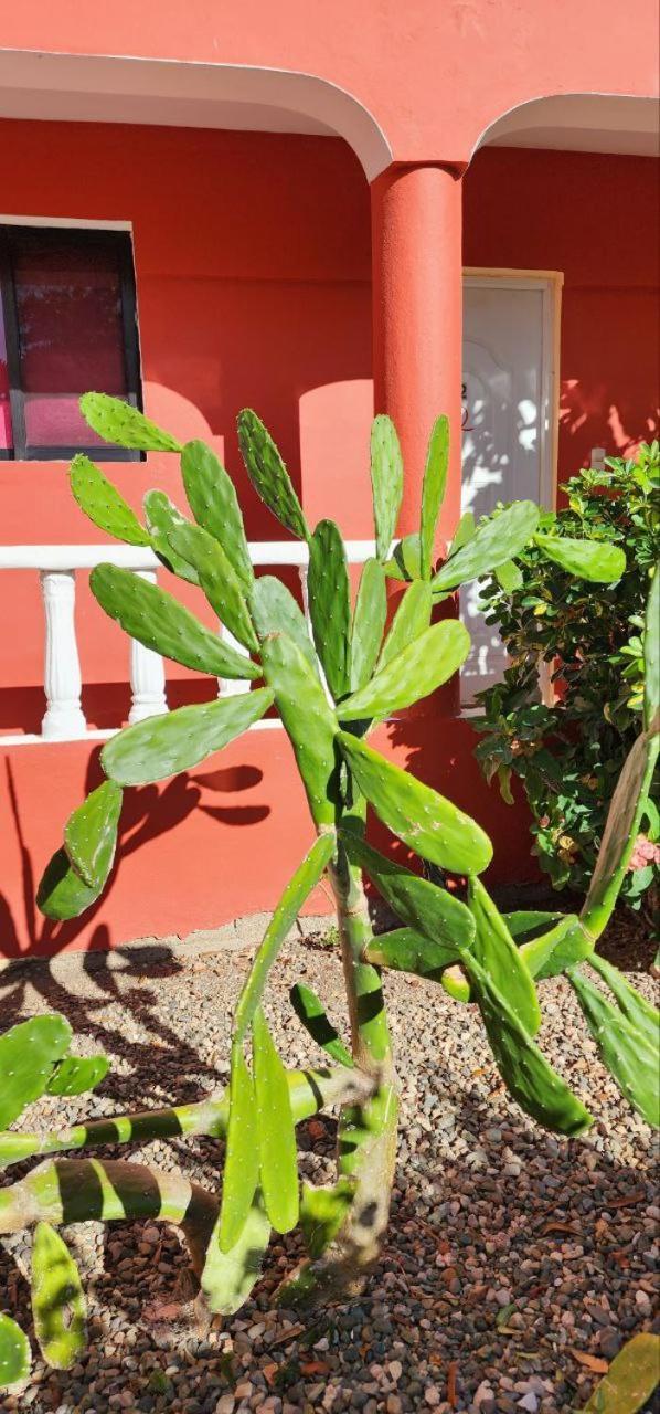Villa Kiki Ensenada 蓬塔露奇亚 外观 照片
