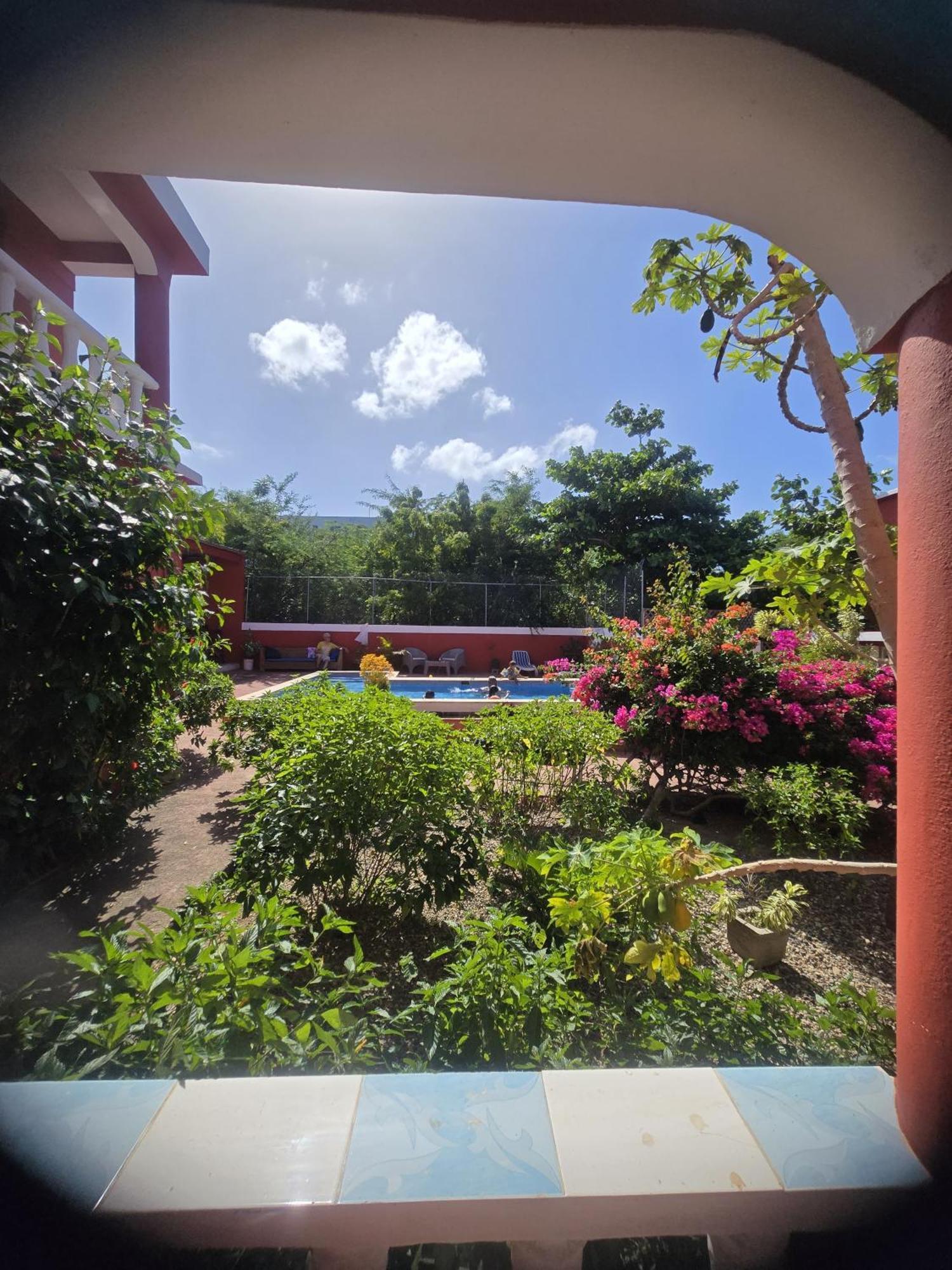 Villa Kiki Ensenada 蓬塔露奇亚 外观 照片
