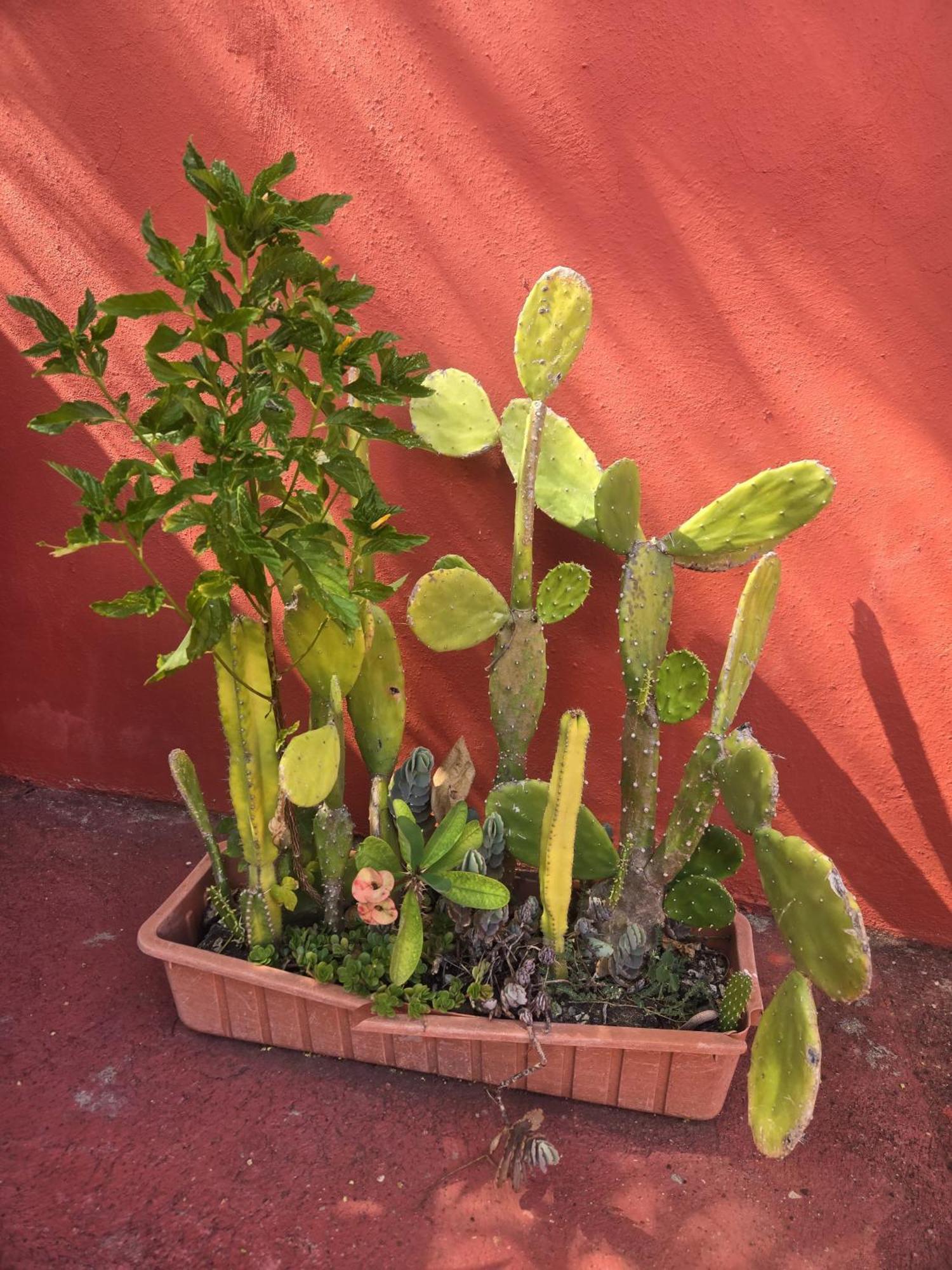 Villa Kiki Ensenada 蓬塔露奇亚 外观 照片
