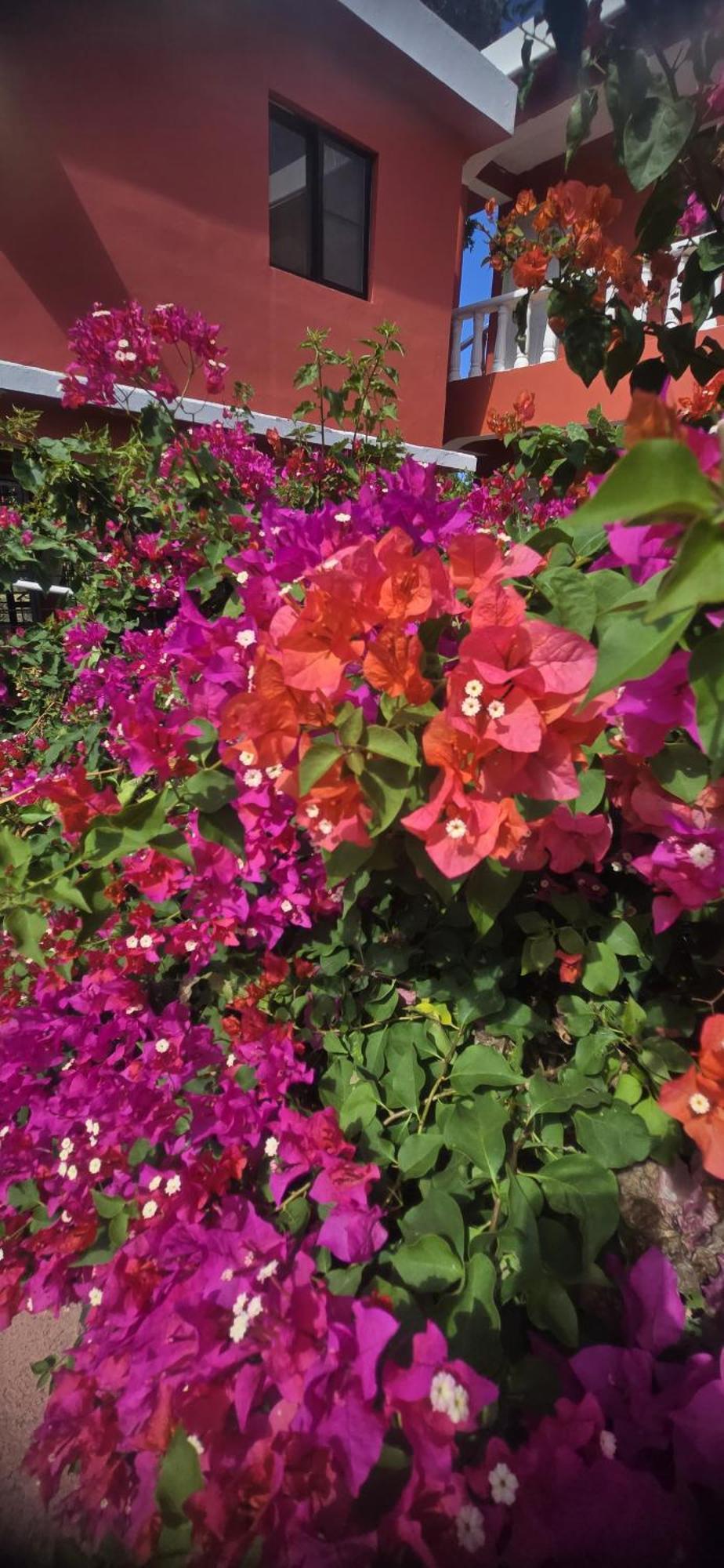 Villa Kiki Ensenada 蓬塔露奇亚 外观 照片