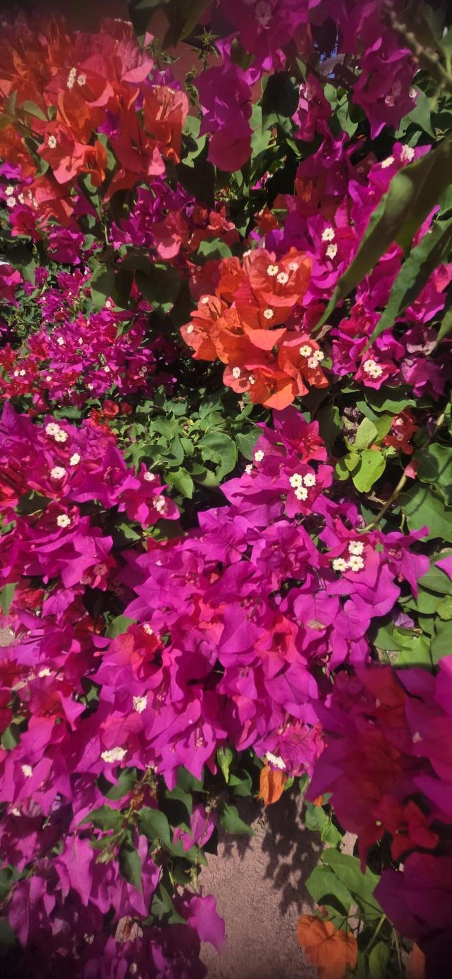 Villa Kiki Ensenada 蓬塔露奇亚 外观 照片