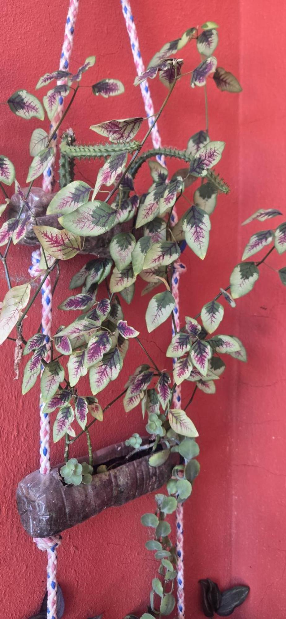 Villa Kiki Ensenada 蓬塔露奇亚 外观 照片